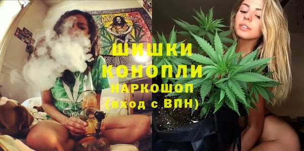 дмт Осинники