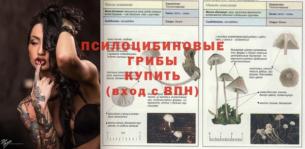 ГАЛЛЮЦИНОГЕННЫЕ ГРИБЫ Осташков