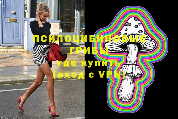 ГАЛЛЮЦИНОГЕННЫЕ ГРИБЫ Осташков