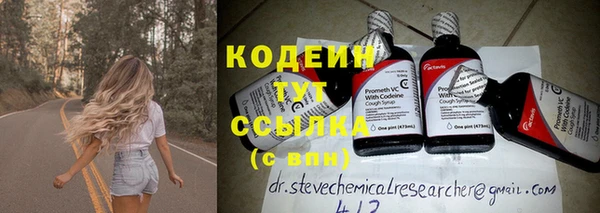 ГАЛЛЮЦИНОГЕННЫЕ ГРИБЫ Осташков