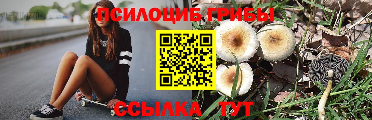 Псилоцибиновые грибы MAGIC MUSHROOMS  Вход с VPN  Чистополь 