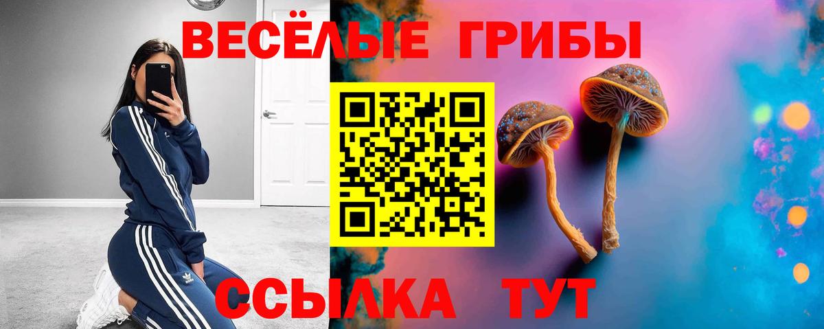 даркнет сайт  Вход с VPN  Чистополь  Галлюциногенные грибы GOLDEN TEACHER 