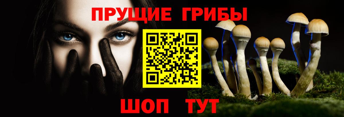 Галлюциногенные грибы ЛСД Чистополь
